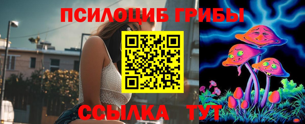 Сафоново  Галлюциногенные грибы GOLDEN TEACHER  Галлюциногенные грибы Psilocybe  Вход с VPN 