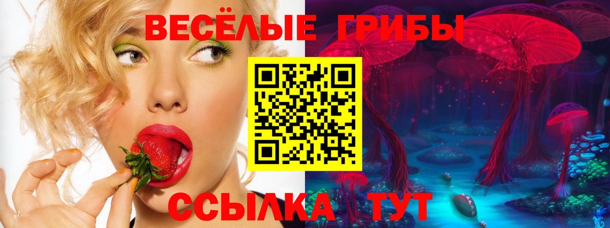 Псилоцибиновые грибы Cubensis Сафоново